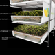 Illustration for article titled The World's Largest Vertical Farm Is Being Built In an Old Steel Mill